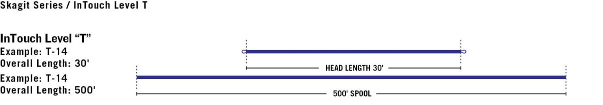 画像2: RIO リオ　InTouch Level T (2)