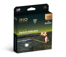画像1: RIO リオ　Elite Switch Indicator (1)