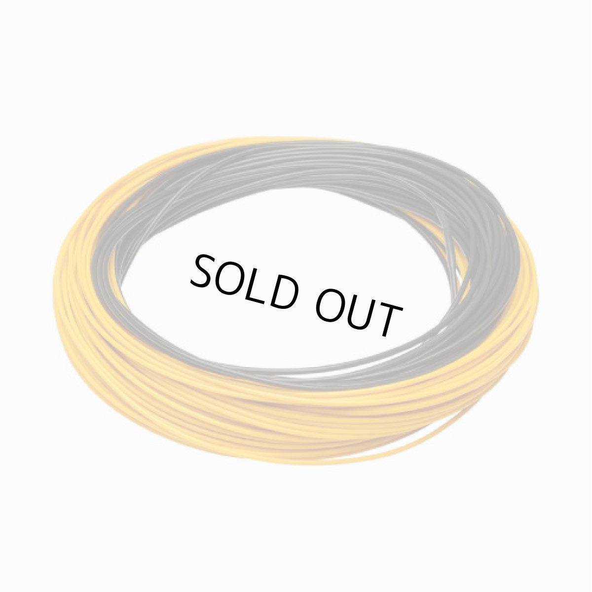 画像2: RIO リオ  Avid 24ft Sink Tip (2)