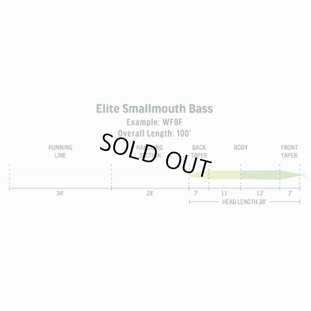 画像3: RIO リオ 　Elite Smallmouth Bass (3)