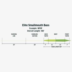 画像3: RIO リオ 　Elite Smallmouth Bass (3)