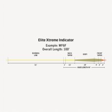 画像4: RIO リオ 　Elite Xtreme Indicator (4)