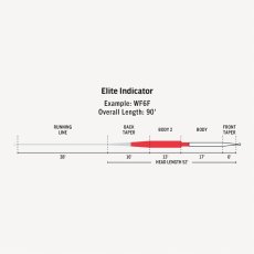 画像4: RIO リオ 　Elite Indicator (4)