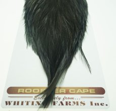 画像2: Coq de Leon  Rooster Cape Variant No11 (2)