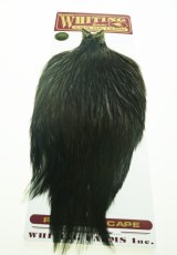 画像1: Coq de Leon  Rooster Cape  Black　No2 (1)