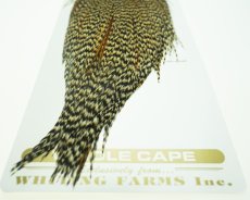 画像2: Heritage Rooster Cape No27 (2)