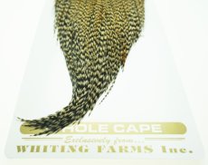 画像2: Heritage Rooster Cape No29 (2)