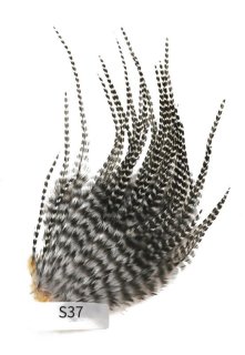 shaojieリール 3 3/4 最初価格 shaojieリール 3 3/4 shaojieリール 3 3/