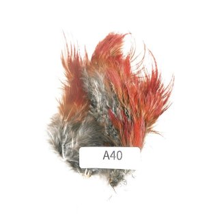 CANAL キャナル ヘンフェザントボディー Hen Pheasant Body - 鱒夢