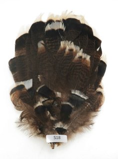 CANAL キャナル パートリッジ コンプリート Partridge Complete - 鱒夢