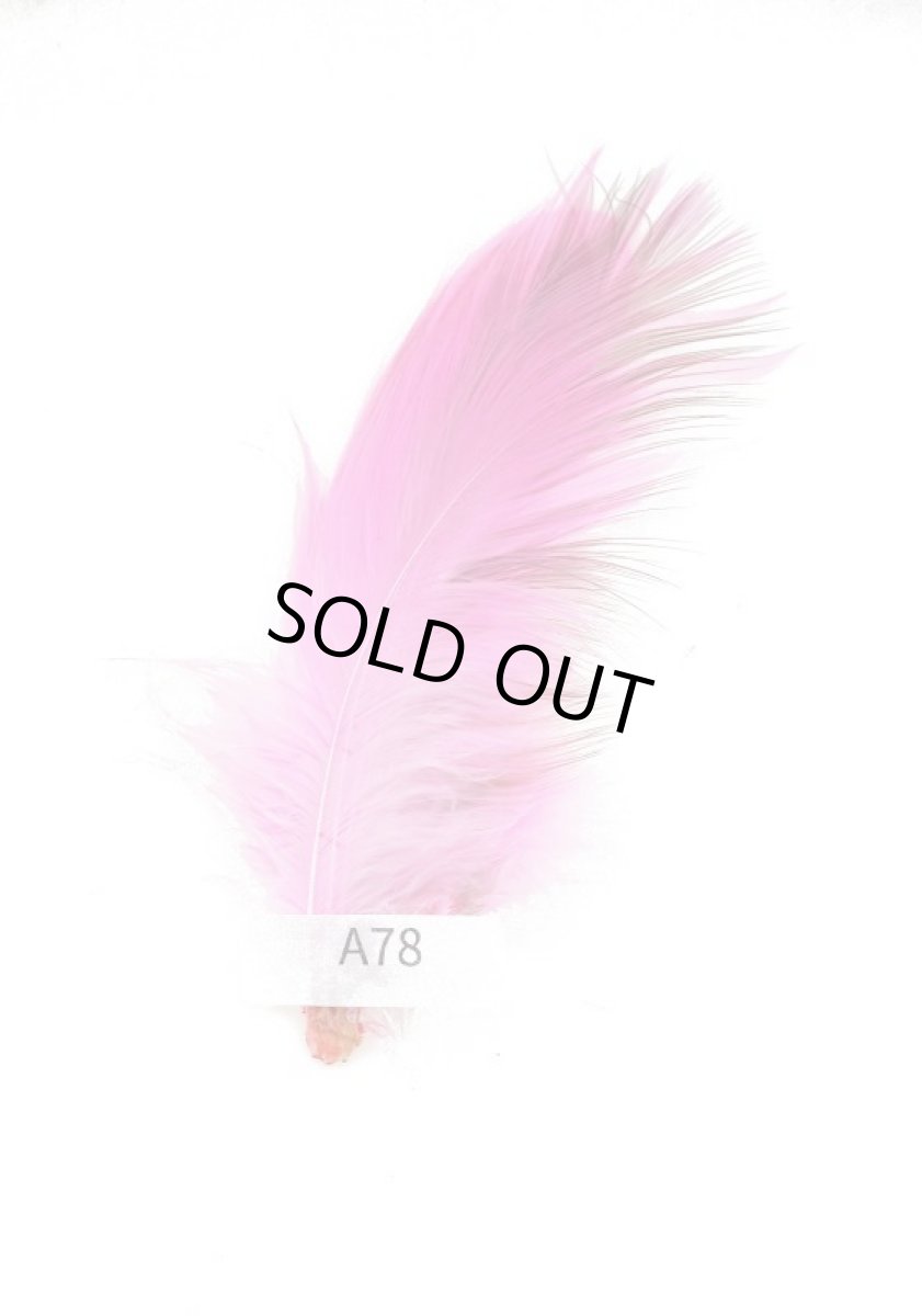 画像2: CANAL　キャナル　ヘロン　ダイドピンク　HERON　DYDE　PINK (2)