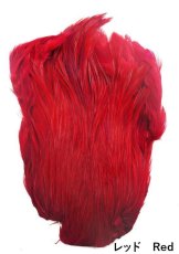 画像1: インドコックネック  ダイド India Cock neck　dyed インディアコックネック　Indian (1)