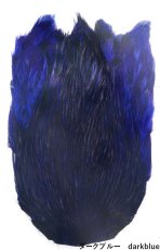 画像3: インドコックネック  ダイド India Cock neck　dyed インディアコックネック　Indian (3)