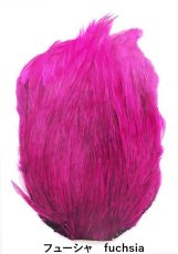 画像12: インドコックネック  ダイド India Cock neck　dyed インディアコックネック　Indian (12)