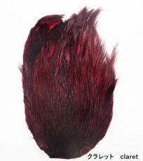 画像4: インドコックネック  ダイド India Cock neck　dyed インディアコックネック　Indian (4)