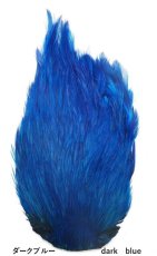 画像16: インドコックネック  ダイド India Cock neck　dyed インディアコックネック　Indian (16)