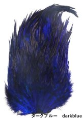 画像3: インドコックサドル  ダイド India Cock sadlle　dyed インディアコックサドル　Indian (3)