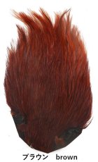 画像11: インドコックネック  ダイド India Cock neck　dyed インディアコックネック　Indian (11)