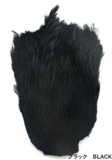 画像7: インドコックネック  ダイド India Cock neck　dyed インディアコックネック　Indian (7)