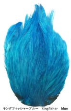 画像10: インドコックネック  ダイド India Cock neck　dyed インディアコックネック　Indian (10)