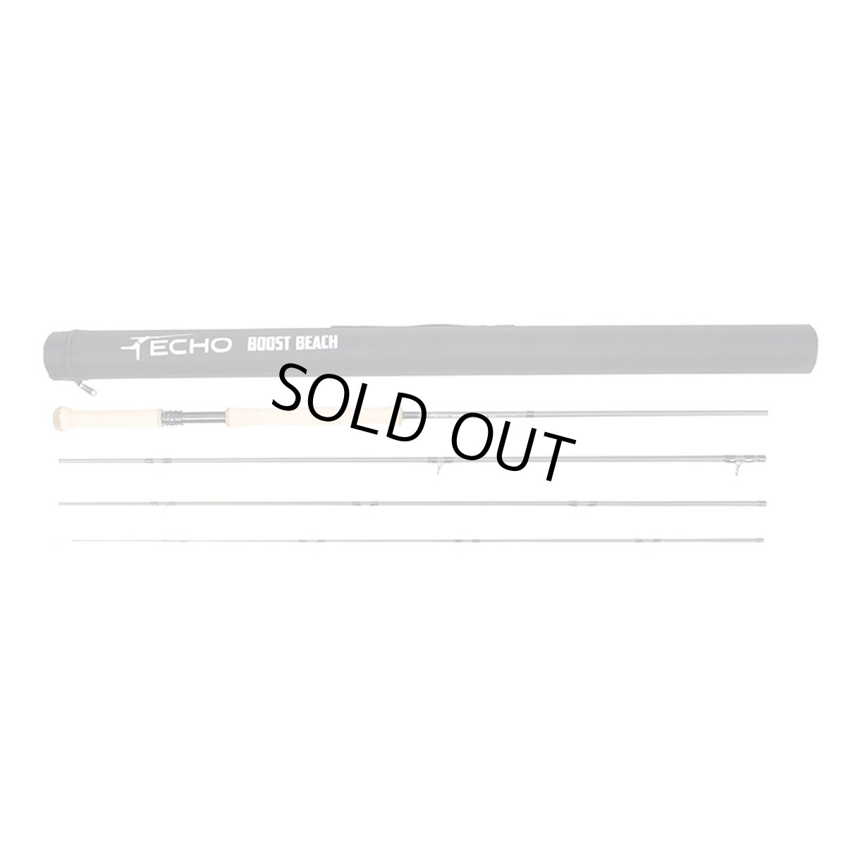 画像1: Boost Beach　ECHO　エコー (1)