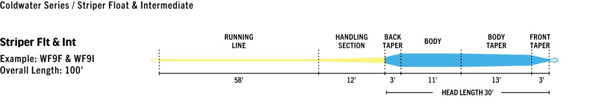 画像9: RIO リオ 　Striper (9)