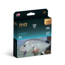 画像1: RIO リオ 　Elite GT (1)