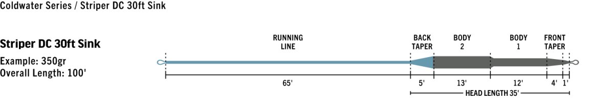 画像8: RIO リオ 　Striper (8)