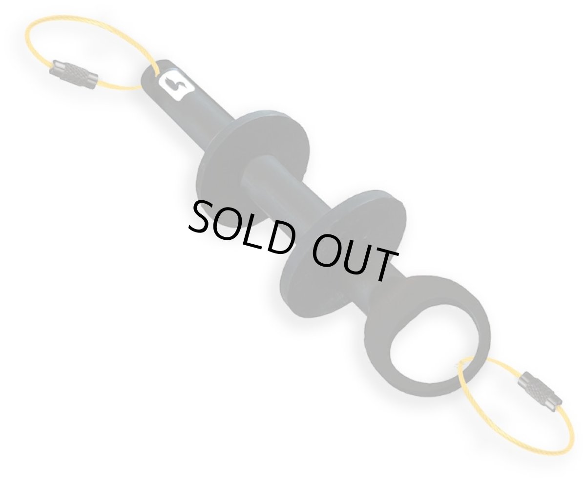 画像1: ROGUE TIPPET POST ルーン LOON (1)