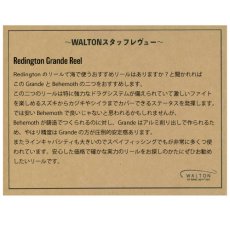 画像16: REDINGTON レディントン　GRANDE (16)