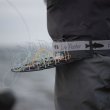 Easy Shrimp Eyes Line Master ラインマスター ラインバスケット