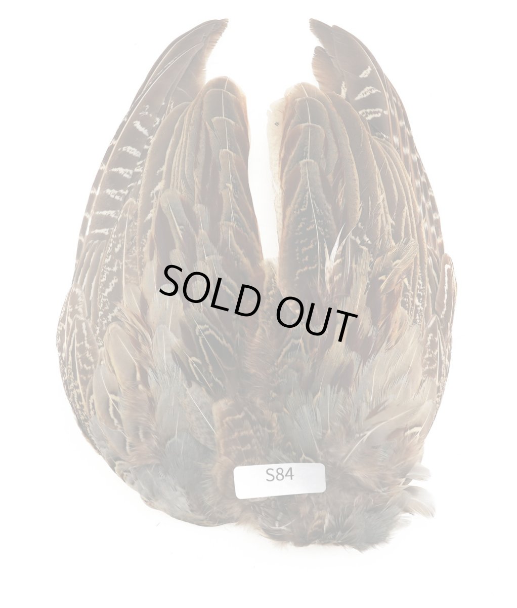 画像2: CANAL キャナル コックフェザント ウィング (2)