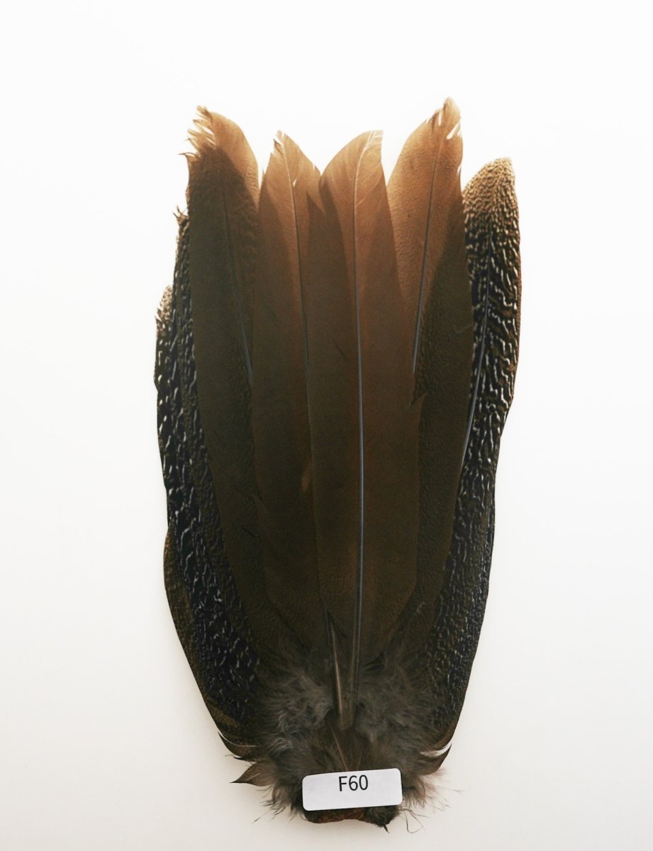 画像11: CANAL キャナル スペックルドフェザント コンプリート SPECKLE PHEASANT (11)