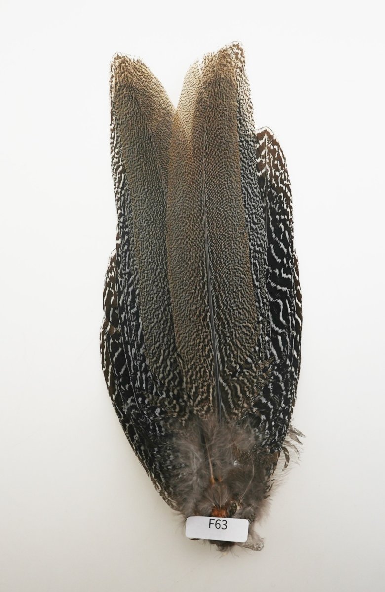 画像8: CANAL キャナル スペックルドフェザント コンプリート SPECKLE PHEASANT (8)