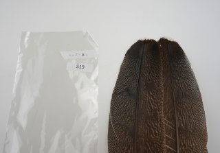 CANAL キャナル コーリーバスタードネックハックル Kori bustard CANAL キャナル コーリーバスタードネックハックル Kori bustard