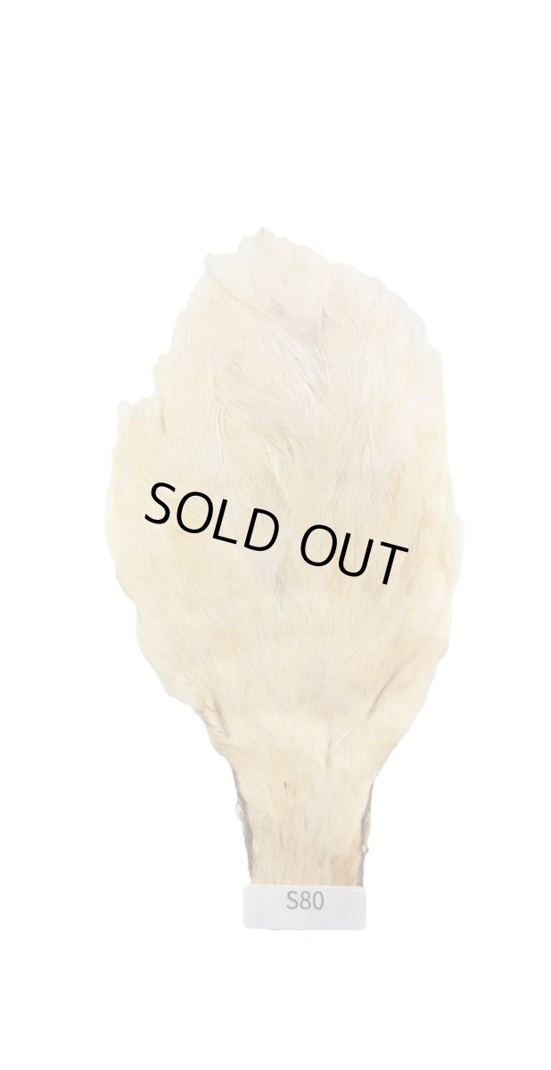 画像2: CANAL  キャナル ヘンスピナーウィング (2)