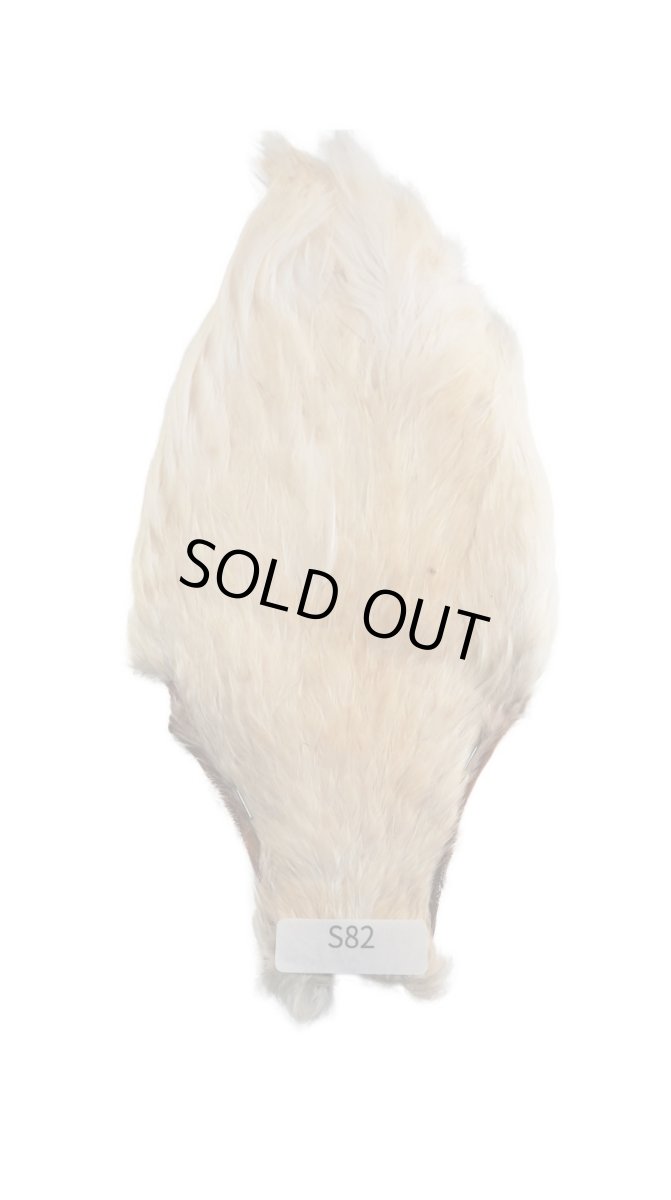 画像4: CANAL  キャナル ヘンスピナーウィング (4)