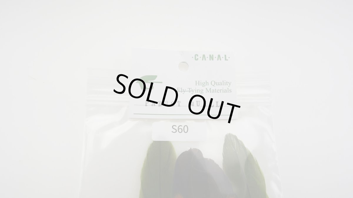 画像3: CANAL  キャナル パロットクイル (3)