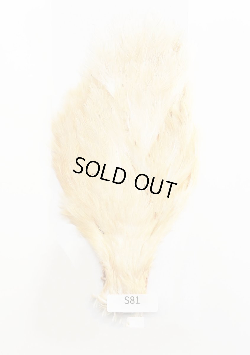 画像3: CANAL  キャナル ヘンスピナーウィング (3)