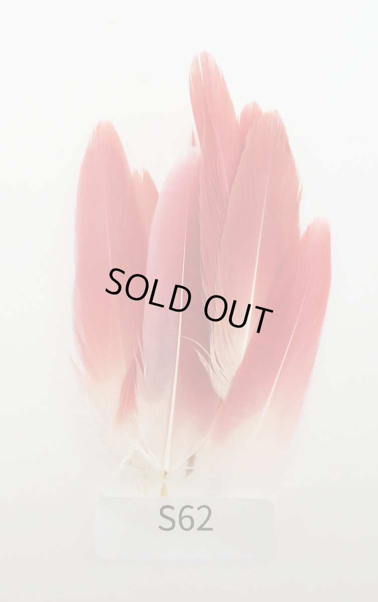 画像2: CANAL  キャナル フラミンゴ  (2)