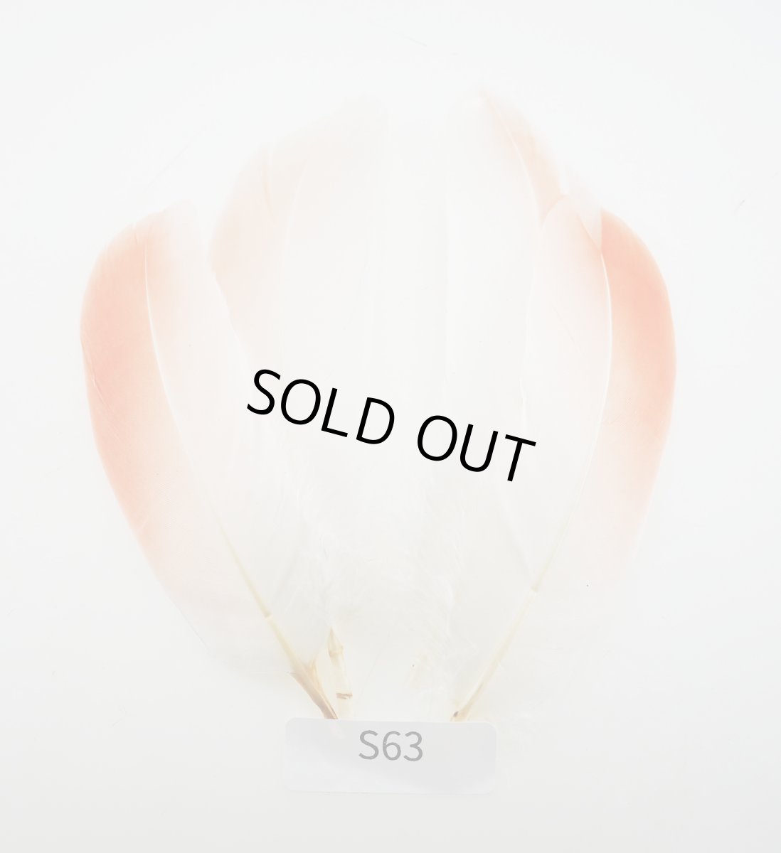 画像3: CANAL  キャナル フラミンゴ  (3)