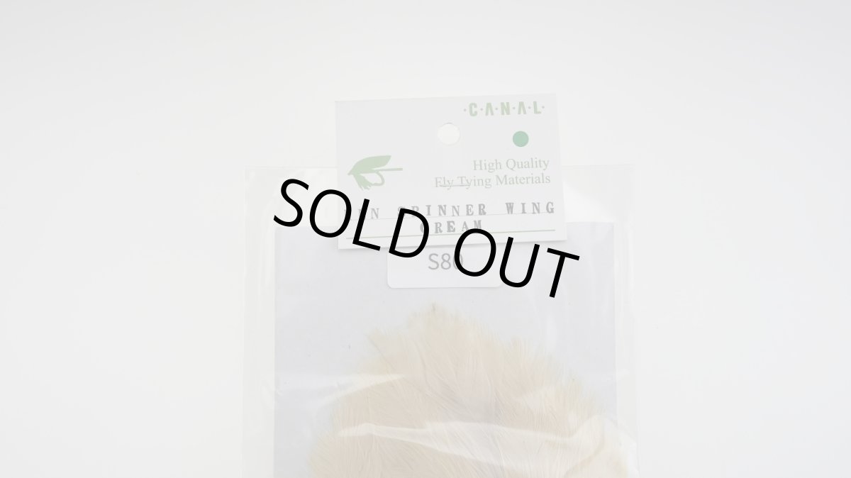 画像6: CANAL  キャナル ヘンスピナーウィング (6)