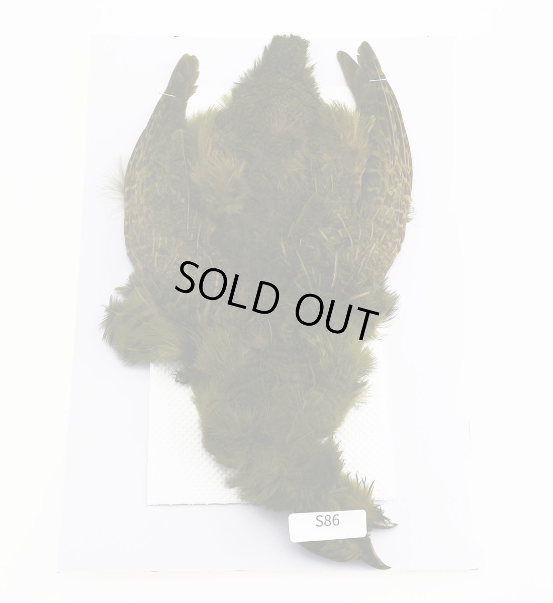 画像2: CANAL  キャナル パートリッジ コンプリート オリーブ (2)