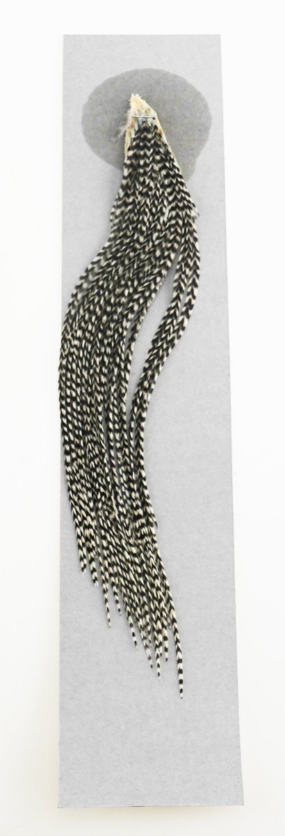 画像6: CANAL キャナル ドライフライサドル #14-#10 (6)