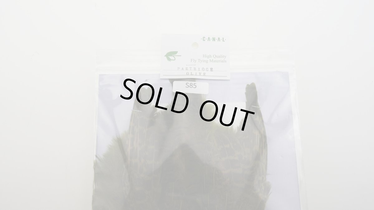 画像3: CANAL  キャナル パートリッジ コンプリート オリーブ (3)