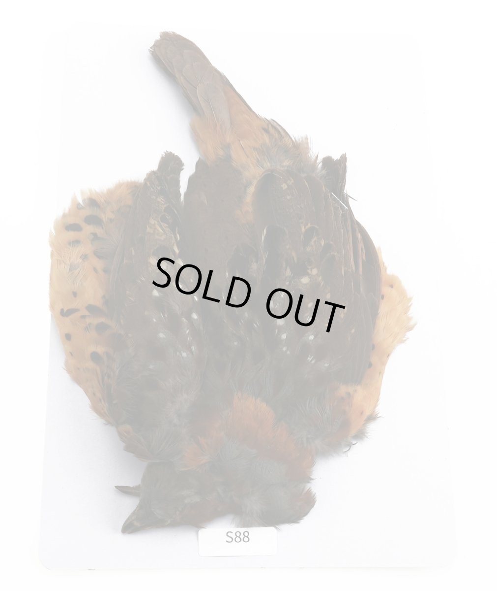 画像2: CANAL  キャナル バンブーパートリッジ (2)