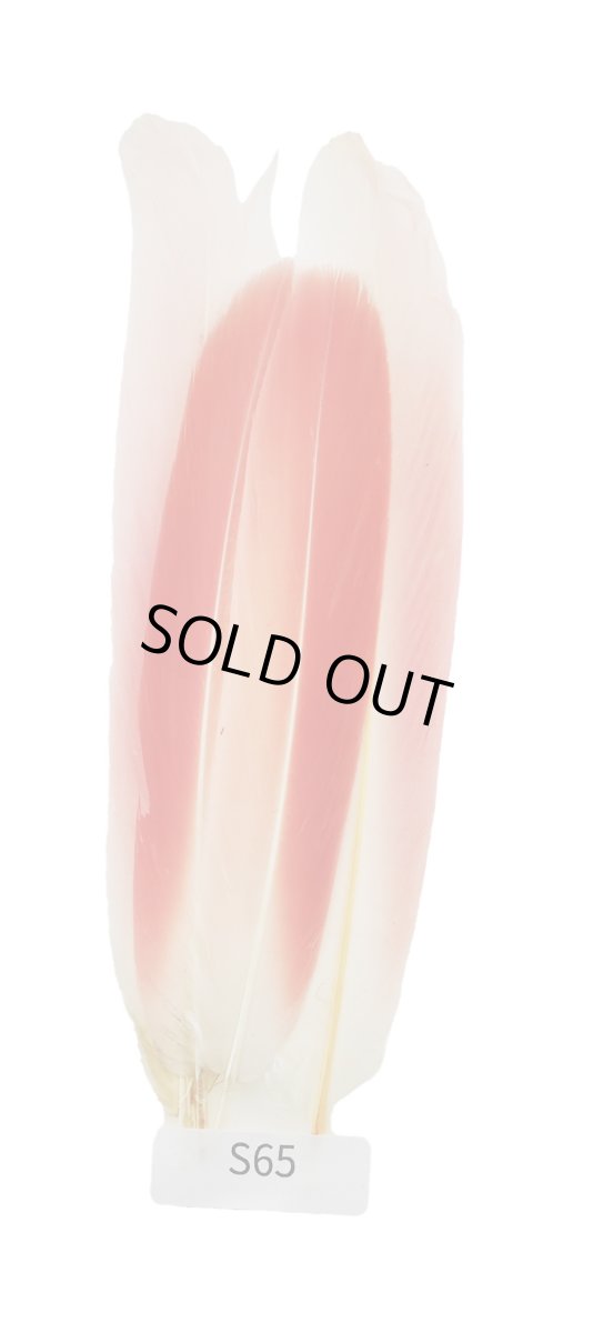 画像5: CANAL  キャナル フラミンゴ  (5)