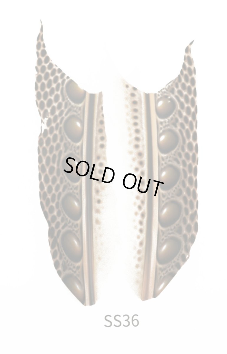 画像3: CANAL  キャナル アーガス 2 (3)