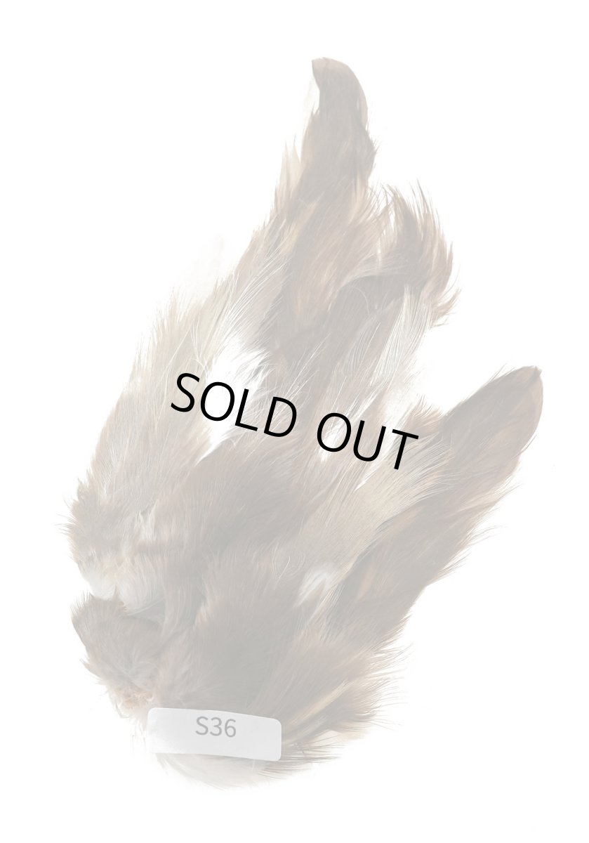 画像3: CANAL  キャナル ポンドヘロン (3)