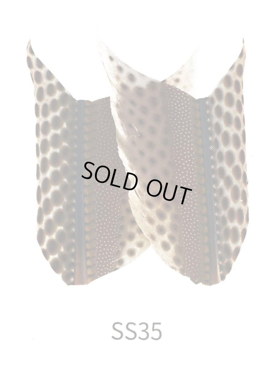 画像2: CANAL  キャナル アーガス 2 (2)